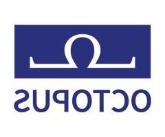 Octopus logo